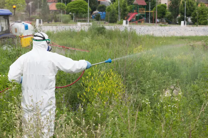 Control de plagas en Cornellà de Llobregat