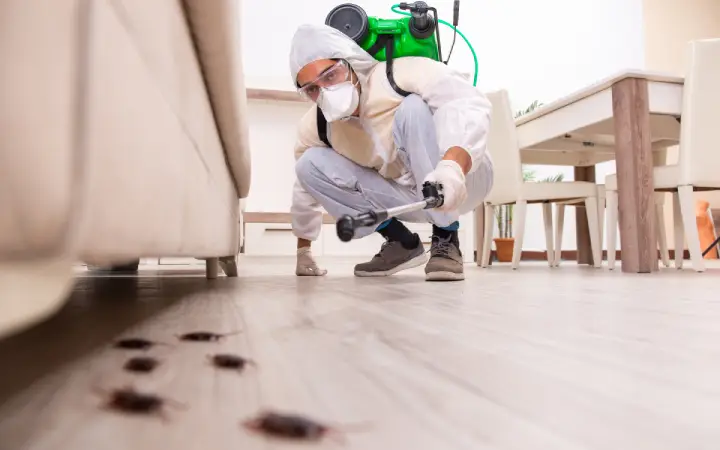 Control de plagas en Lloret de Mar