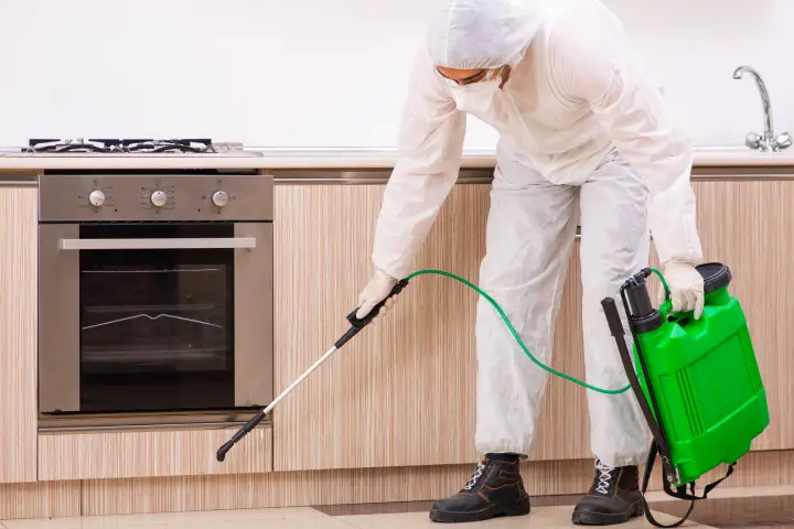 Control de plagas en Martorell