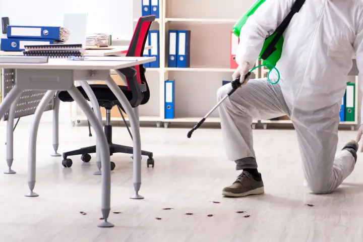 Control de plagas en Vilassar de Mar