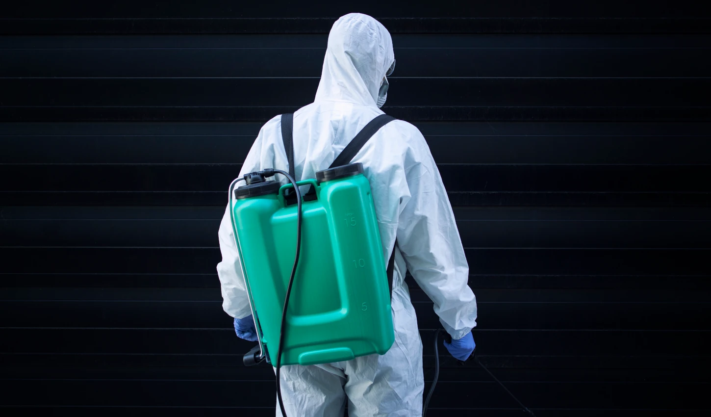 Empresa de desinsectación