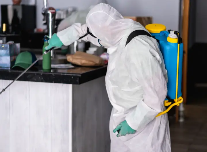 Exterminador de plagas Exterminador de plagas