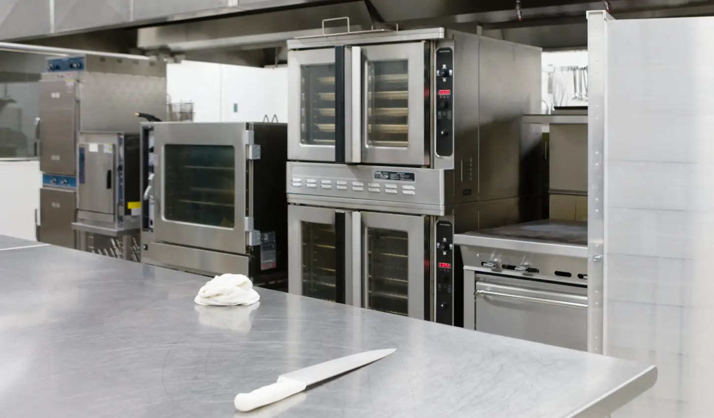 Prevenir plagas en restaurantes - Controlador de plagas Racuchin